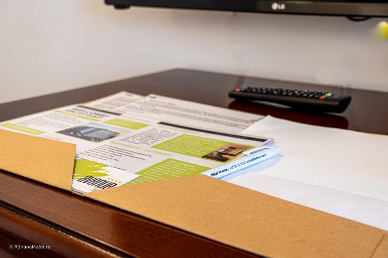 Hotel Business Avenue Buzau